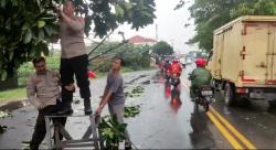 Hujan Deras Disertai Angin Kencang, Personel Polsek Cikande Evakuasi Pohon Tumbang