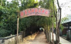 6 Rekomendasi Tempat Wisata Favorit di Depok, Banyak Wahana Seru dan Menarik