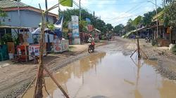 Protes Kondisi Jalan Rusak, Warga Siwuluh Tanam Pohon Pisang di Jalan