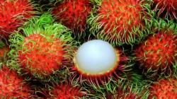 5 Deretan Manfaat Rambutan Bagi Kesehatan Tubuh, Salah Satunya Meningkatkan Energi