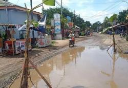 Jalan Rusak Tak Kunjung Diperbaiki, Warga Siwuluh Tanam Pohon Pisang di Jalan