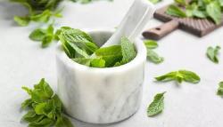 5 Manfaat Daun Mint Untuk Kesehatan Tubuh dan Kecantikan Kulit, Bisa Mencerahkan Wajah Lho!