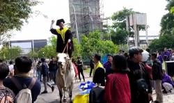 Heboh Video Viral, Seorang Mahasiswa Datang ke Acara Wisuda Naik Sapi