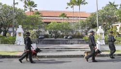 Jenis Anjing yang di Gunakan Kepolisian hingga Militer