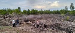 Polsek Bua Sebut Ada Penebangan Pohon Mangrove di Pesisir Pantai