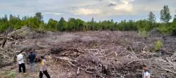 SR Pastikan Tidak Rusak Hutan Mangrove