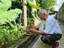 RH Kolaborasi dengan Pemdes Seteluk Lobar Galakkan Diversifikasi Pangan ditengah Ancaman Krisis