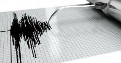 Gempa Bumi, Mahasiswa dan Pengajar Berhamburan ke Luar Ruangan