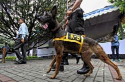 Polisi Kerahkan 16 Anjing Pelacak Cari Korban Gempa Cianjur