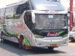 Ini Daftar 5 Pejabat Pemilik PO Bus di Indonesia, Ada Anggota DPR Hingga Bupati