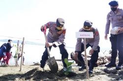 Polda Sulbar Tanam 120 ribu Pohon Mangrove, Kapolda: Ini Menyelamatkan Kita dari Ancaman Abrasi