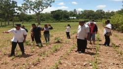 Bangun Kebun Contoh 5, 3 Ha untuk TJPS, Bupati TTS Apresiasi Kinerja Kades Nonbila