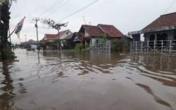 Delapan Desa di Kecamatan Ulujami Terendam Banjir Rob, Ketinggian Mencapai Hampir 1 Meter