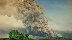 BNPB : Erupsi Semeru Muntahkan Awan Panas Sejauh 7 Kilometer