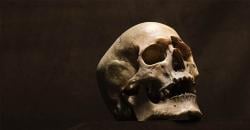 Penelitian Menunjukkan Ada Populasi di Afrika Barat yang Miliki Warisan Genetik Spesies Hominin