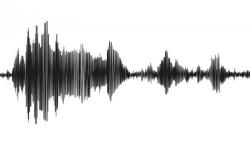 Gempa Terkini: Dalam 45 Menit, Jember Diguncang 4 Kali Gempa