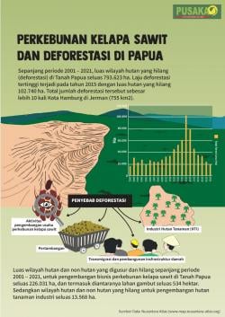 Was-was Supermarket Alam Sorong Selatan Terganggu Sawit (2)