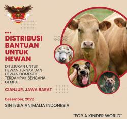 Sintesia Animalia Indonesia Bergerak Suplai Makanan dan Obat untuk Hewan di Gempa Cianjur