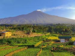 Tak Hanya Milik Pemalang atau Tegal, Gunung Slamet juga Masuk Wilayah Kabupaten Ini!