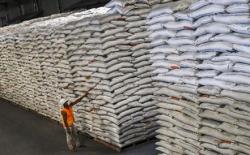 Pemerintah Bulan Ini Impor Beras 500.000 Ton, 200.000 Ton Dijual Murah