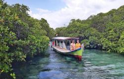 9 Tempat Wisata di Trenggalek Paling Indah dan Terkenal