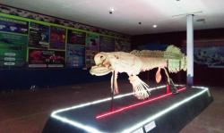 Miliki 70 Jenis Koleksi Predator Ikan Tawar, Fish Garden Blitar Ajak Pengunjung Belajar Dunia Air