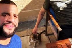 Gagal Bawa Trofi Piala Dunia 2022, Timnas Inggris Malah Bawa Pulang Kucing