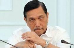 Luhut Perintahkan Kemendag Normalkan Keberadaan dan Harga Minyakita