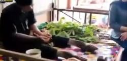 Viral! Azab Durhaka kepada Ibu, Pria Ini Jadi Berkaki Kambing