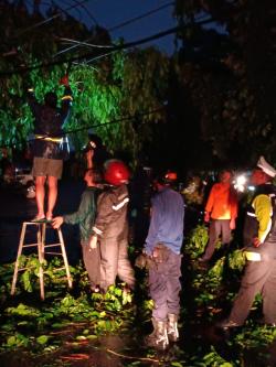 Cuaca Buruk di Karawang, 142 Rumah Rusak dan 14 Pohon Tumbang