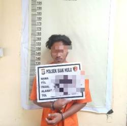 Cabuli Gadis Belia, Warga Kampar Ditangkap di Siak