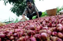 Bawang Merah Ikut Terkerek Naik di Denpasar