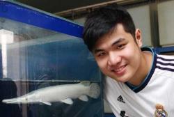 Cerita Nicholas Kurniawan, Penjual Ikan Hias Termuda Indonesia yang Berhasil Menembus Pasar Ekspor