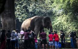 8 Kebun Binatang Terbaik di Indonesia yang Harus Dikunjungi