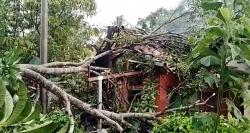 Detik-detik Angin Kencang Merobohkan Pohon Besar dan Timpa 2 Rumah di Pandeglang