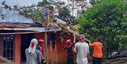 Angin Kencang di Purbalingga Sebabkan Pohon Tumbang Timpa Rumah Warga