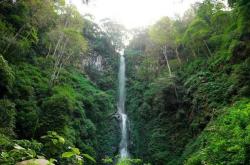 6 Air Terjun Terindah di Jawa Timur yang Wajib Dikunjungi