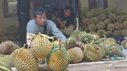 Tak Hanya Batik, Kabupaten Pekalongan juga Penghasil Durian Enak