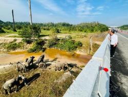 Presiden Tekankan Pembangunan Infrastruktur harus Ramah Lingkungan