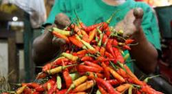 Jelang Ramadan, Harga Cabai, Garam hingga Daging dan Telur Ayam Melonjak