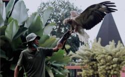 Liburan Seru di Lembang! Ini 3 Destinasi Family Friendly dengan Harga Bersahabat