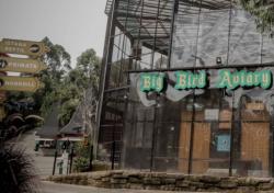 3 Tempat Wisata Alternatif Bareng Keluarga di Bandung, Nomor 1 Punya Koleksi Ratusan Satwa