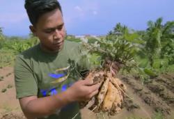 Kisah Khairul Umam, Korban PHK yang Kini Sukses Jadi Petani dengan Omzet Ratusan Juta