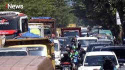 Mengungkap Sejarah Kiaracondong, Jejak Pohon Raksasa yang Wariskan Nama Ikonik Kota Bandung
