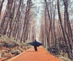 6 Rekomendasi Wisata Alam di Bandung untuk Habiskan Libur Imlek 2023
