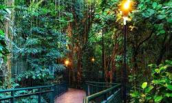 Forest Walk Babakan, Tempat Piknik yang Instagramable