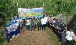 Poktan Mekarsari Merak Bersama Lanal Banten Gelar Panen Raya Sargum, Program Ketapang