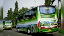 Kisah Sukses Mantan Penjual Pisang yang Kini Pengusaha PO Bus