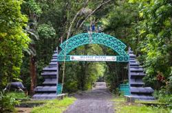 Misteri Alas Purwo, Konon Kerajaan Jin Terbesar Dunia Terletak di Ujung Timur Pulau Jawa