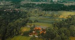 Keliling di Kediaman Suku Osing, Kampung Unik di Banyuwangi yang Wajib Kamu Coba Kopinya